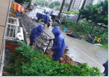 ɽńP(xing)Ŀ׃@ػ̎